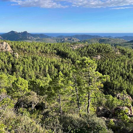 Villa Ormarine, Vue Exceptionnelle Sur La Baie De Cannes Et Le Mercantour Les Adrets-de-l'Estérel Exterior foto