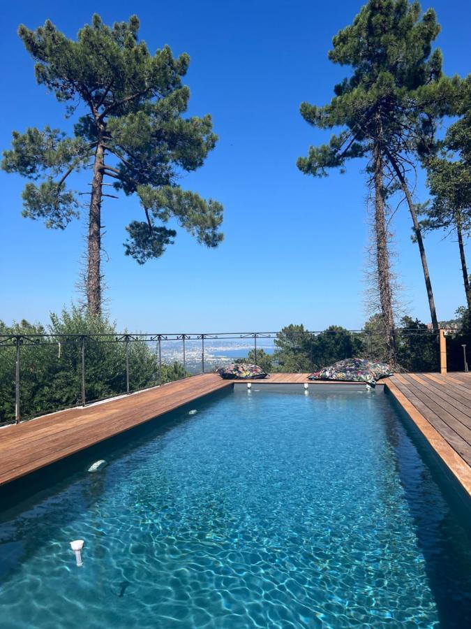 Villa Ormarine, Vue Exceptionnelle Sur La Baie De Cannes Et Le Mercantour Les Adrets-de-l'Estérel Exterior foto